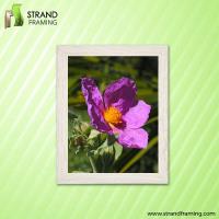 Strand Framing image 1